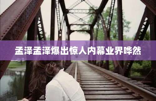 孟泽孟泽爆出惊人内幕业界哗然