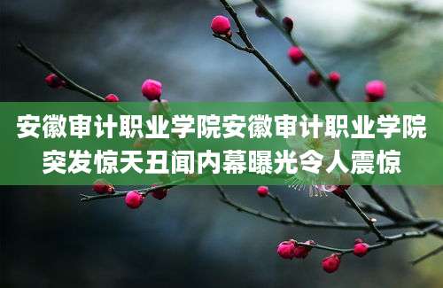 安徽审计职业学院安徽审计职业学院突发惊天丑闻内幕曝光令人震惊