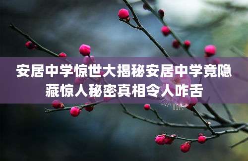 安居中学惊世大揭秘安居中学竟隐藏惊人秘密真相令人咋舌