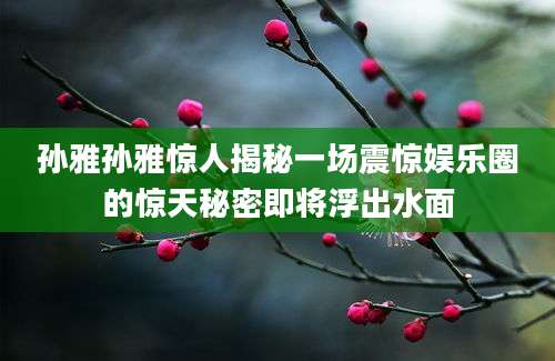 孙雅孙雅惊人揭秘一场震惊娱乐圈的惊天秘密即将浮出水面