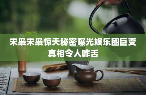 宋枭宋枭惊天秘密曝光娱乐圈巨变真相令人咋舌