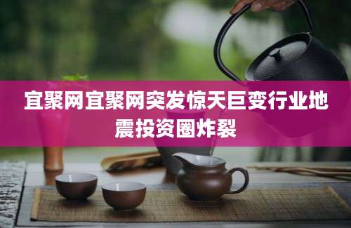 宜聚网宜聚网突发惊天巨变行业地震投资圈炸裂