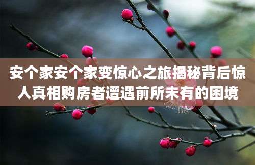 安个家安个家变惊心之旅揭秘背后惊人真相购房者遭遇前所未有的困境