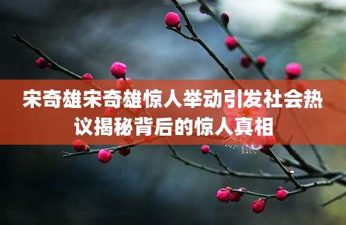 宋奇雄宋奇雄惊人举动引发社会热议揭秘背后的惊人真相