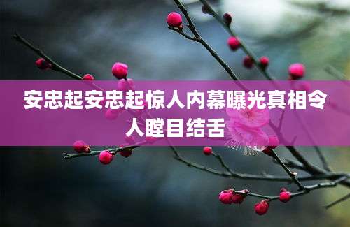 安忠起安忠起惊人内幕曝光真相令人瞠目结舌