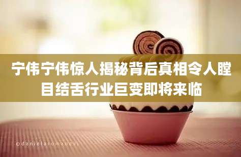宁伟宁伟惊人揭秘背后真相令人瞠目结舌行业巨变即将来临