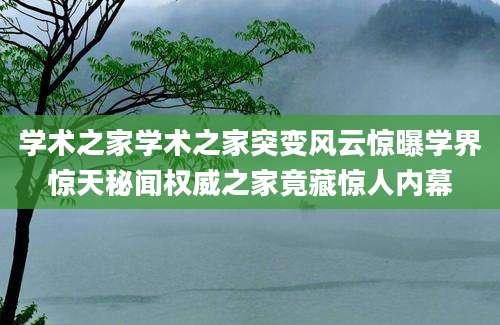 学术之家学术之家突变风云惊曝学界惊天秘闻权威之家竟藏惊人内幕