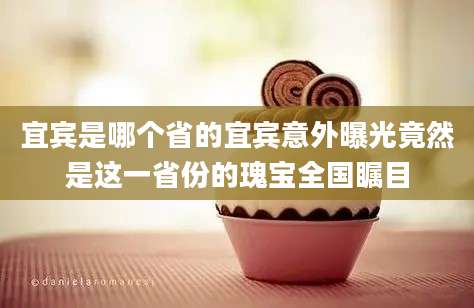 宜宾是哪个省的宜宾意外曝光竟然是这一省份的瑰宝全国瞩目
