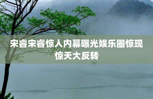 宋睿宋睿惊人内幕曝光娱乐圈惊现惊天大反转
