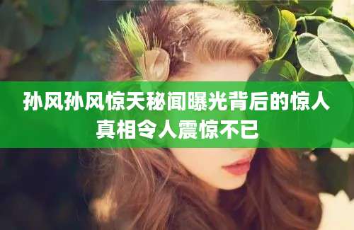 孙风孙风惊天秘闻曝光背后的惊人真相令人震惊不已