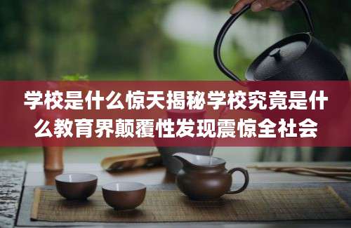 学校是什么惊天揭秘学校究竟是什么教育界颠覆性发现震惊全社会