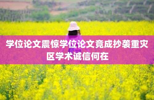学位论文震惊学位论文竟成抄袭重灾区学术诚信何在