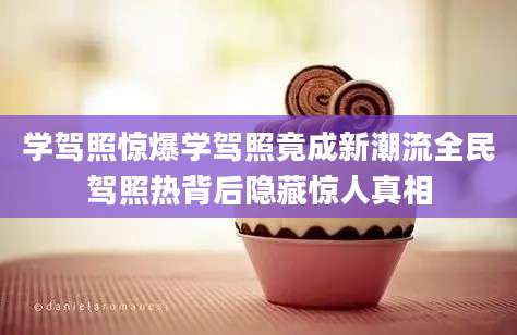 学驾照惊爆学驾照竟成新潮流全民驾照热背后隐藏惊人真相