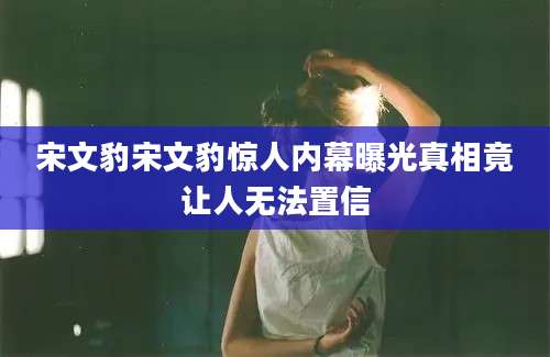 宋文豹宋文豹惊人内幕曝光真相竟让人无法置信