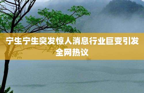 宁生宁生突发惊人消息行业巨变引发全网热议