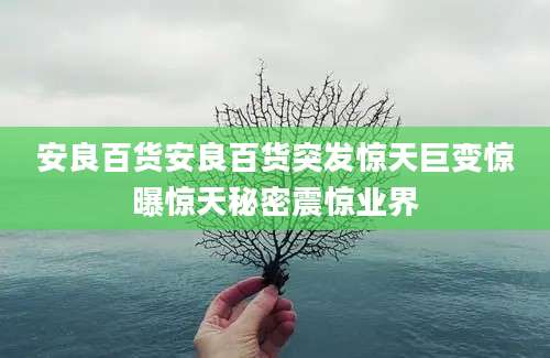 安良百货安良百货突发惊天巨变惊曝惊天秘密震惊业界