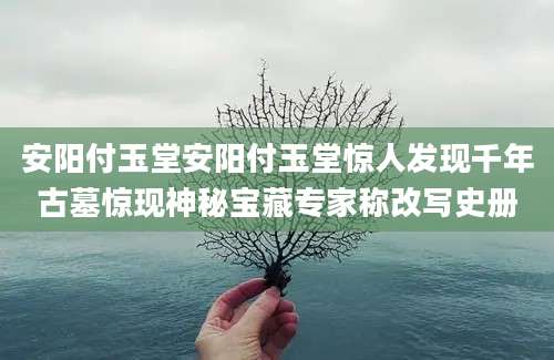 安阳付玉堂安阳付玉堂惊人发现千年古墓惊现神秘宝藏专家称改写史册
