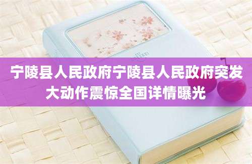 宁陵县人民政府宁陵县人民政府突发大动作震惊全国详情曝光