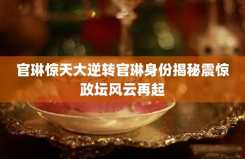 官琳惊天大逆转官琳身份揭秘震惊政坛风云再起