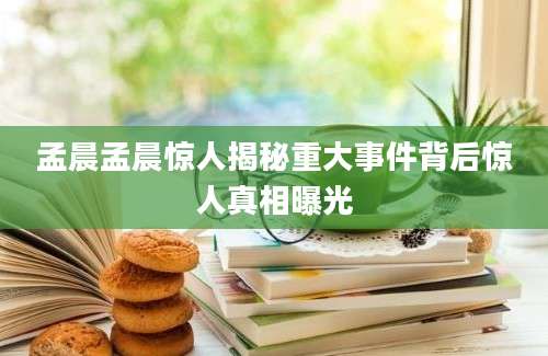 孟晨孟晨惊人揭秘重大事件背后惊人真相曝光