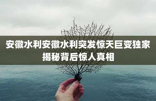 安徽水利安徽水利突发惊天巨变独家揭秘背后惊人真相