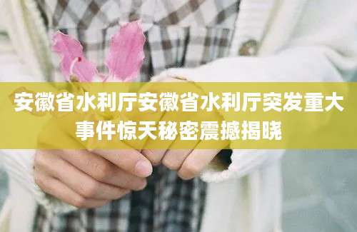 安徽省水利厅安徽省水利厅突发重大事件惊天秘密震撼揭晓