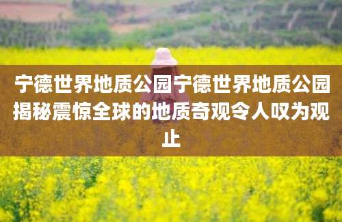 宁德世界地质公园宁德世界地质公园揭秘震惊全球的地质奇观令人叹为观止