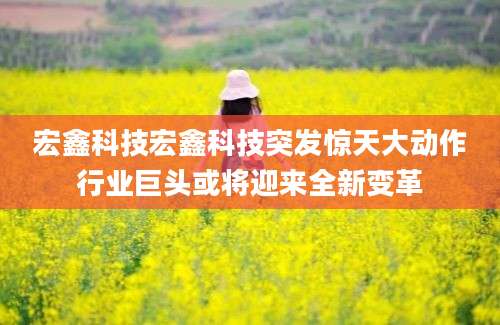 宏鑫科技宏鑫科技突发惊天大动作行业巨头或将迎来全新变革