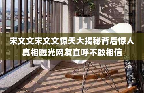 宋文文宋文文惊天大揭秘背后惊人真相曝光网友直呼不敢相信