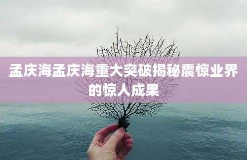 孟庆海孟庆海重大突破揭秘震惊业界的惊人成果