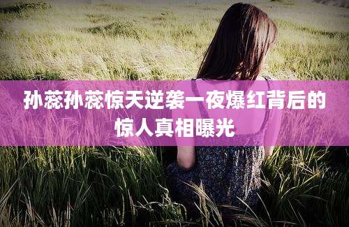 孙蕊孙蕊惊天逆袭一夜爆红背后的惊人真相曝光