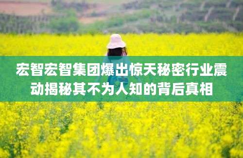 宏智宏智集团爆出惊天秘密行业震动揭秘其不为人知的背后真相