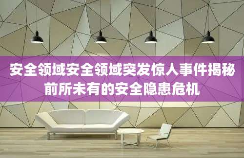 安全领域安全领域突发惊人事件揭秘前所未有的安全隐患危机