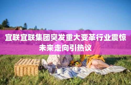 宜联宜联集团突发重大变革行业震惊未来走向引热议