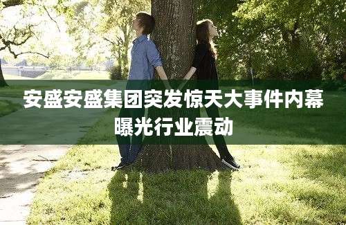 安盛安盛集团突发惊天大事件内幕曝光行业震动