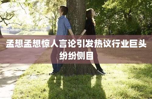 孟想孟想惊人言论引发热议行业巨头纷纷侧目