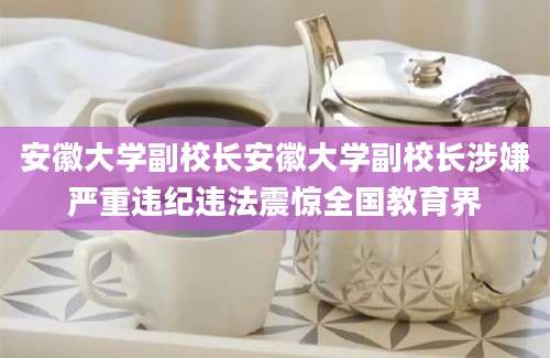安徽大学副校长安徽大学副校长涉嫌严重违纪违法震惊全国教育界