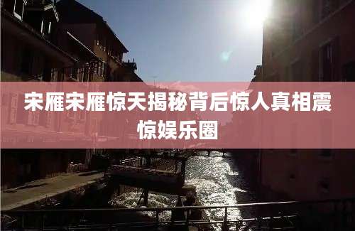 宋雁宋雁惊天揭秘背后惊人真相震惊娱乐圈