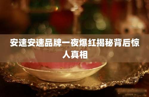 安速安速品牌一夜爆红揭秘背后惊人真相