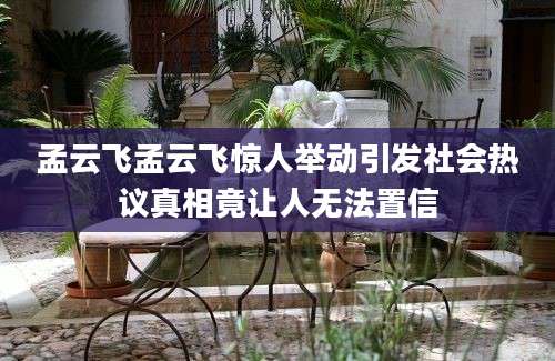 孟云飞孟云飞惊人举动引发社会热议真相竟让人无法置信