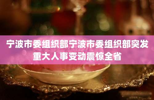宁波市委组织部宁波市委组织部突发重大人事变动震惊全省