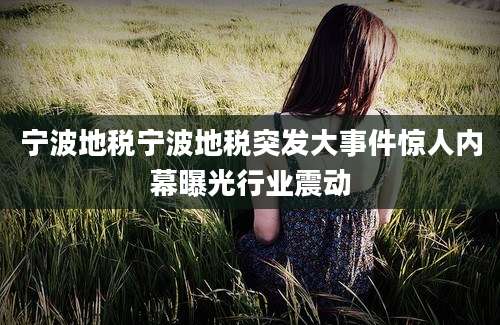 宁波地税宁波地税突发大事件惊人内幕曝光行业震动