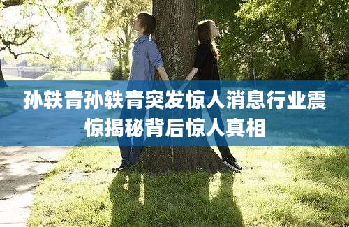 孙轶青孙轶青突发惊人消息行业震惊揭秘背后惊人真相