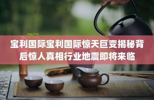 宝利国际宝利国际惊天巨变揭秘背后惊人真相行业地震即将来临