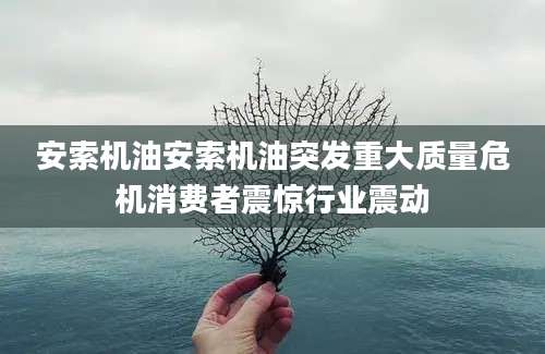 安索机油安索机油突发重大质量危机消费者震惊行业震动