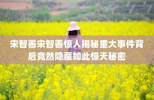 宋智善宋智善惊人揭秘重大事件背后竟然隐藏如此惊天秘密