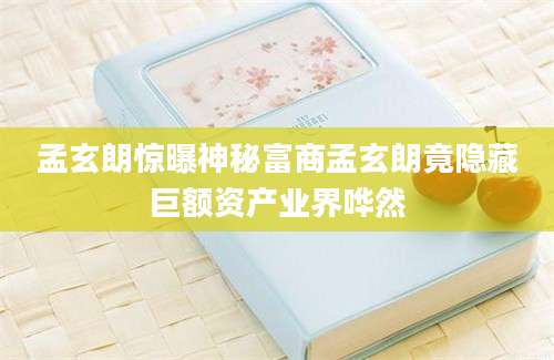 孟玄朗惊曝神秘富商孟玄朗竟隐藏巨额资产业界哗然