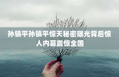 孙镇平孙镇平惊天秘密曝光背后惊人内幕震惊全国