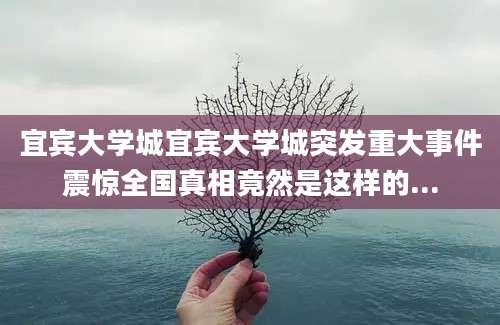 宜宾大学城宜宾大学城突发重大事件震惊全国真相竟然是这样的...