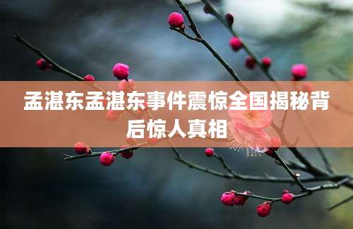 孟湛东孟湛东事件震惊全国揭秘背后惊人真相
